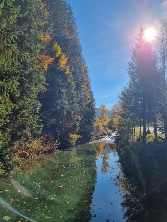 Kaiser Traum Appartement Auffach Buitenkant foto